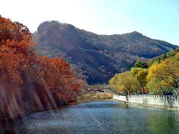 澳门天天彩期期精准平肖，隧道防水板